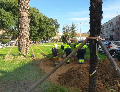 Adecuación Jardines San Sebastián. PFEA 2024
