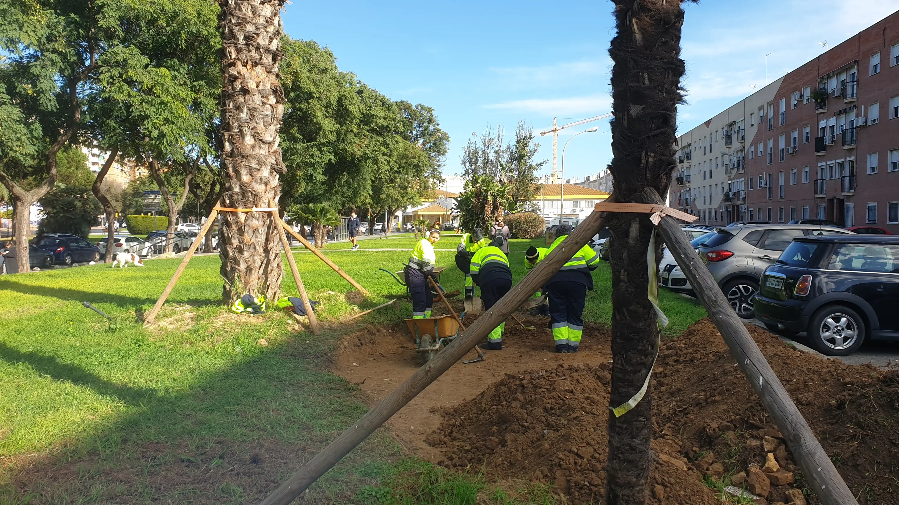 Adecuación de Jardines de San Sebastián PFEA 2024 en Huelva